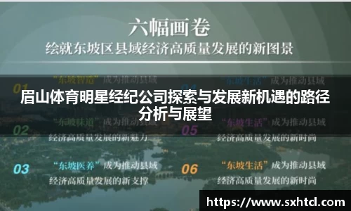 眉山体育明星经纪公司探索与发展新机遇的路径分析与展望