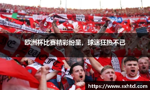欧洲杯比赛精彩纷呈，球迷狂热不已