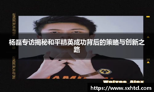 杨磊专访揭秘和平精英成功背后的策略与创新之路