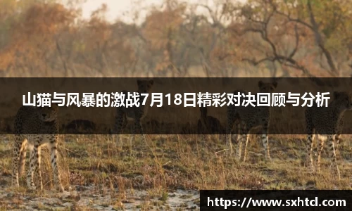 山猫与风暴的激战7月18日精彩对决回顾与分析