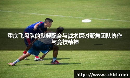 重庆飞盘队的默契配合与战术探讨聚焦团队协作与竞技精神