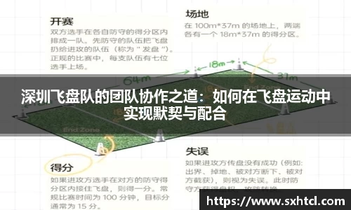 深圳飞盘队的团队协作之道：如何在飞盘运动中实现默契与配合