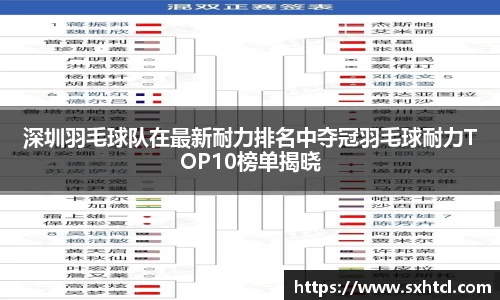 深圳羽毛球队在最新耐力排名中夺冠羽毛球耐力TOP10榜单揭晓